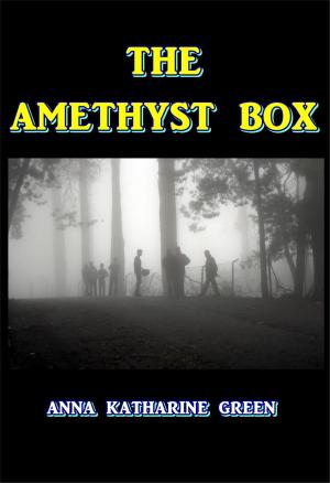 Cover of the book The Amethyst Box by Wilbur B. Stover