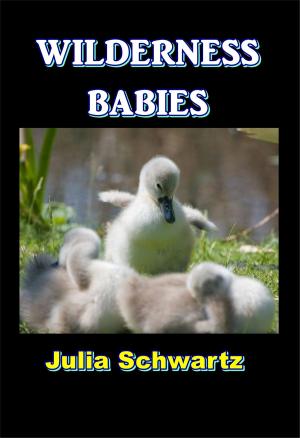 Cover of the book Wilderness Babies by Leroy Scott