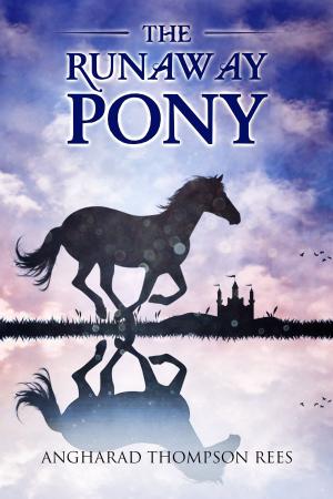Book cover of The Runaway Pony
