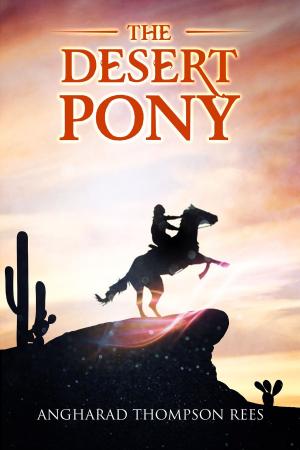 Cover of the book The Desert Pony by Alex McGilvery