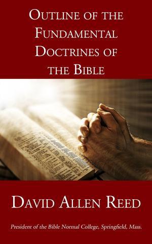 bigCover of the book Outline of the Fundamental Doctrines of the Bible by 