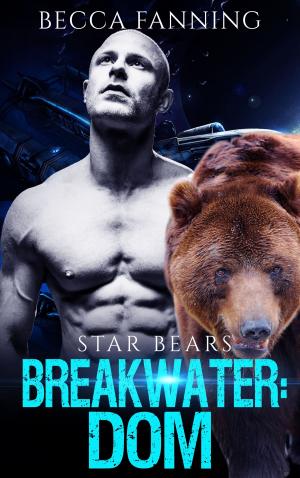 Cover of the book Breakwater: Dom by Becca Fanning