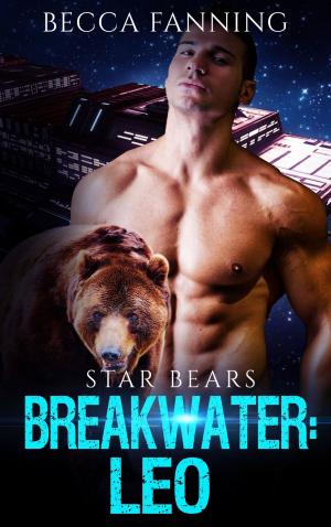 Book cover of Breakwater: Leo