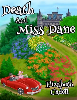 Book cover of Death and Miss Dane