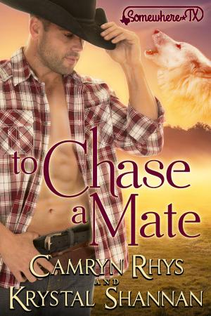 Book cover of To Chase A Mate