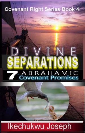 Cover of Divine Separations