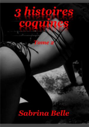 Book cover of 3 HISTOIRES COQUINES