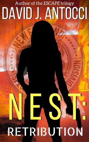Cover of the book NEST: Retribution by D.G. Baxter