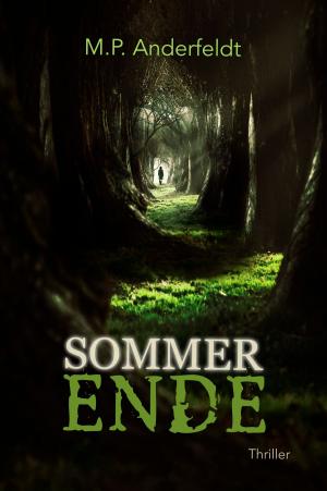 Book cover of Sommerende
