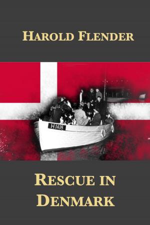 Cover of the book Rescue in Denmark by Helen Epstein