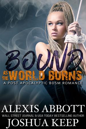 Cover of the book Bound as the World Burns by Alexis Abbott