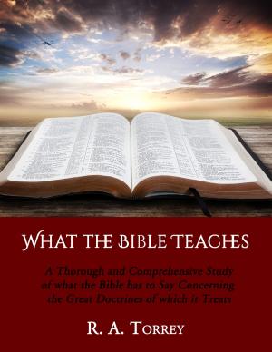 Cover of the book What the Bible Teaches by George Cutting