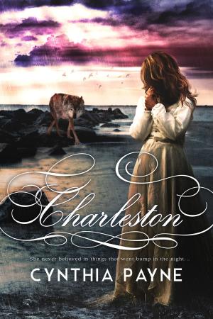 Cover of the book Charleston by Bettina Ferbus