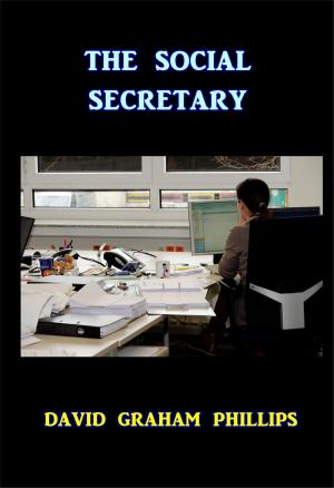 Cover of the book The Social Secretary by Michelle Ridlon