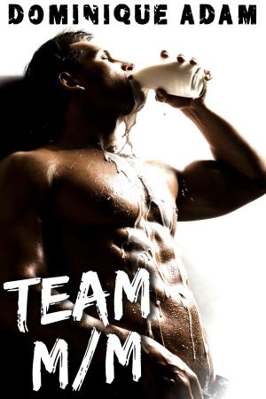 Book cover of Team M/M