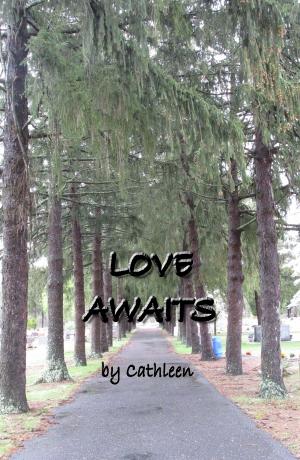 Book cover of Love Awaits