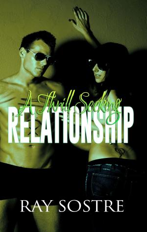 bigCover of the book A Thrillseeking Relationship by 
