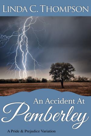 Cover of the book An Accident at Pemberley by D. I. Richardson
