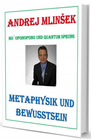bigCover of the book METAPHYSIK UND BEWUSSTSEIN by 