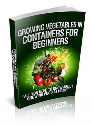 Cover of the book Growing Vegetables in Containers for Beginners by 丹．羅姆 Dan Roam