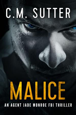 Cover of the book Malice by Charles G. Irion