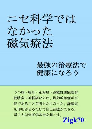 Cover of the book ニセ科学ではなかった磁気療法 by Roger Daniel