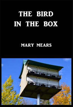 Book cover of The Bird In The Box