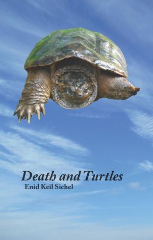 Cover of the book Death and Turtles by L.Steffie