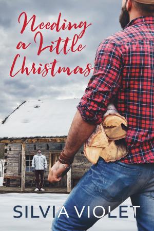 Cover of the book Needing A Little Christmas by Silvia Violet