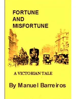 Book cover of FORTUNE AND MISFORTUNE.A BUDGET EDITION