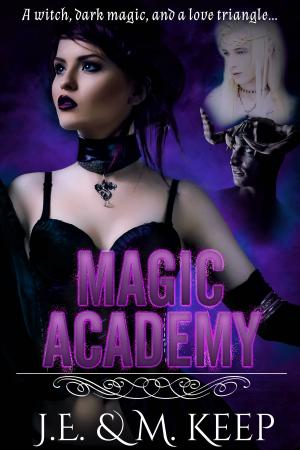 Cover of the book Magic Academy by Alexis Abbott, Joshua Keep