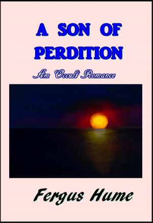 Cover of the book A Son of Perdition by Harry Castlemon
