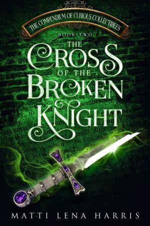 Cover of the book The Cross of the Broken Knight by Dianne Vincent
