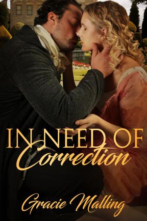 Cover of the book In Need of Correction by Summer Graystone