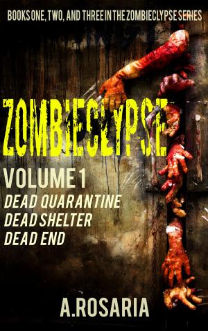 Cover of the book Zombieclypse by A.Rosaria