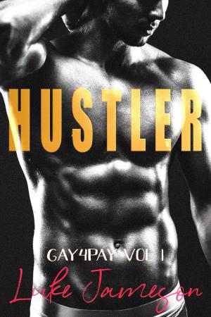 Book cover of Hustler