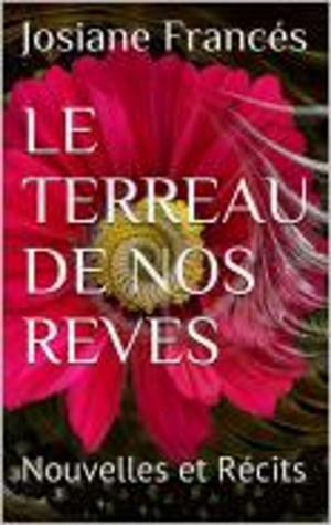 Cover of the book LE TERREAU DE NOS REVES by Franc Otieno