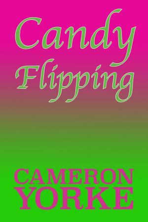 Cover of the book Candy Flipping by Lineo Umberto Devecchi