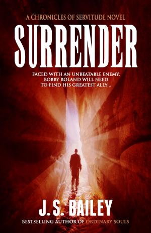 Cover of the book Surrender by Erik Martin Willén