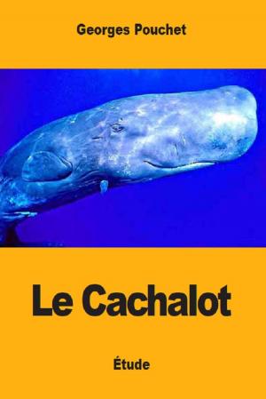 Book cover of Le Cachalot
