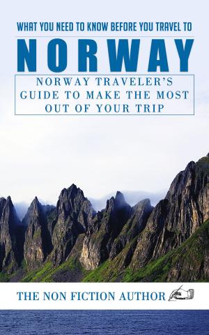 Book cover of What You Need to Know Before You Travel to Norway