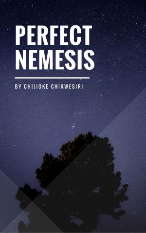 Cover of the book Perfect Nemesis by Segun Adesesan