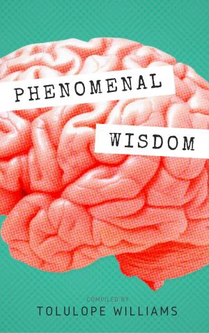 Cover of the book Phenomenal Wisdom by Ijapari Gyang