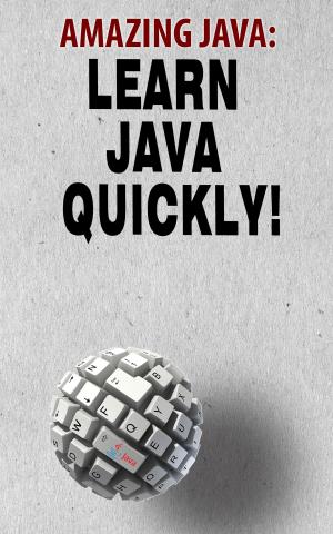 Cover of the book Amazing Java by Jason B. Tiller