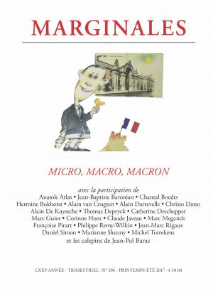 Book cover of Micro, macro, Macron