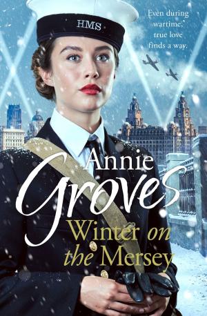 Cover of the book Winter on the Mersey by Karen Rose