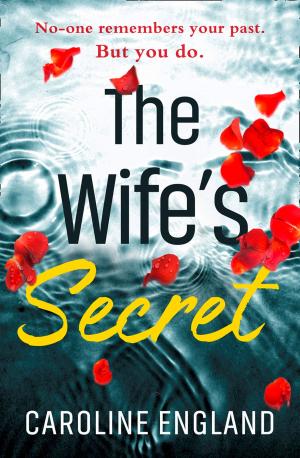 Cover of the book The Wife’s Secret by Wyatt Harvey