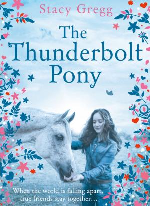 Book cover of The Thunderbolt Pony