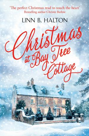 Book cover of Christmas at Bay Tree Cottage (Christmas in the Country, Book 2)