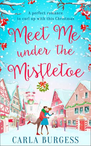Cover of the book Meet Me Under the Mistletoe by Richard Bandler, Owen Fitzpatrick, Alessio Roberti